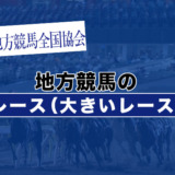 地方競馬の有名レース（大きいレース）一覧