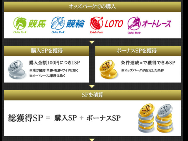 100円投票するたびに1SP、月間で20日以上購入するとボーナスSPがもらえる