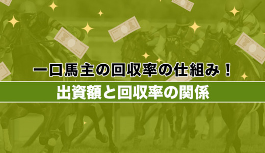 一口馬主の回収率の仕組み！出資額と回収率の関係