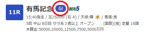 有馬記念はG1レース